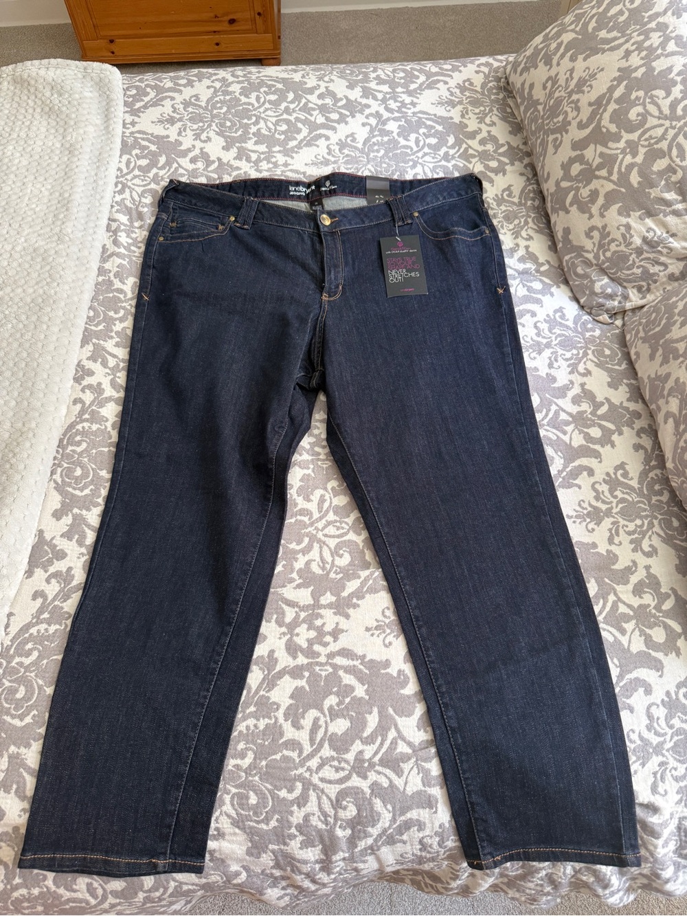 Lane Bryant Jeggings